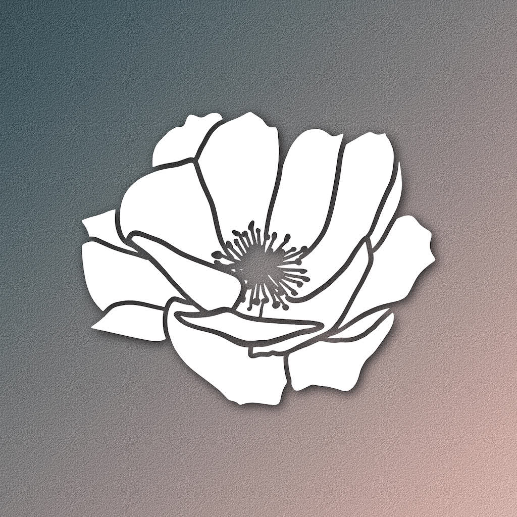 Anemone App